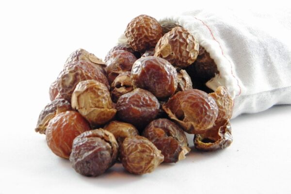 soapberries