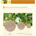 Dimollaure 100g Natural Organic Unrefined Shea Butter Oil Raw plant essential oil Nourishing Skin Care Cosmetics Base oil 1