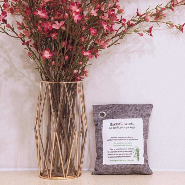 12 Packs Each Mini Bamboo Charcoal Bags Natural Air Purifier & 4x Activated Bamboo Charcoal Bag Odor Remover 200G 6