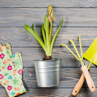 Gardening & Outdoors